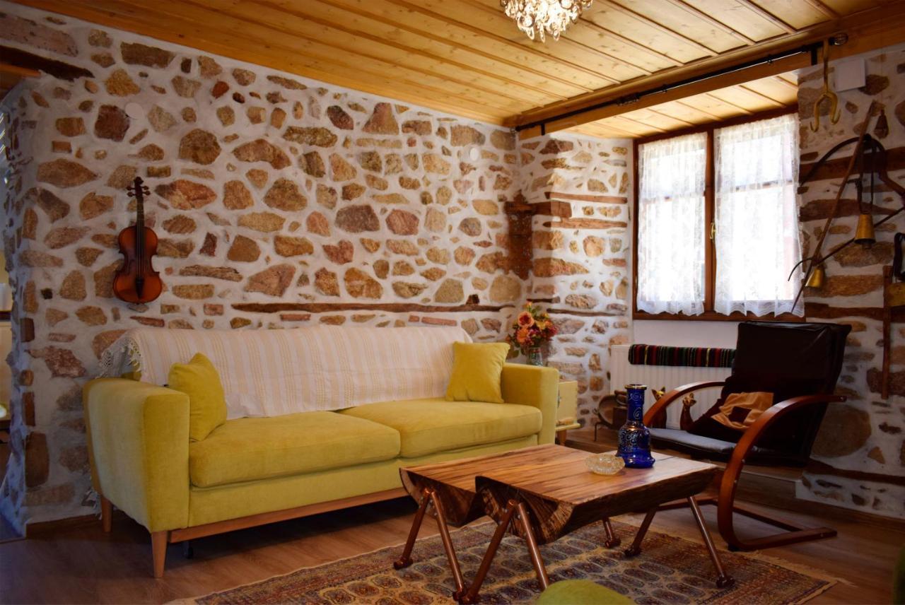 アルネア Renovated Old Manor House With Yardヴィラ エクステリア 写真
